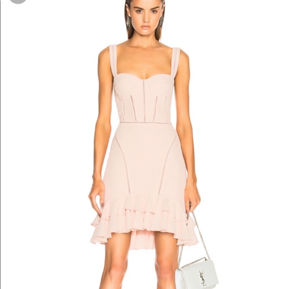 Gorgeous Jonathan Simkhai Blush Bustier Dress